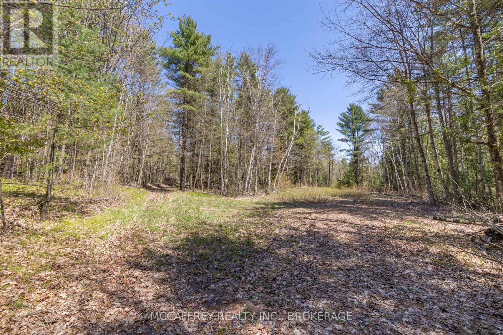 1088 Kashwakamak Lake Road, Frontenac (Frontenac North), Ontario  K0H 1B0 - Photo 47 - X12749142