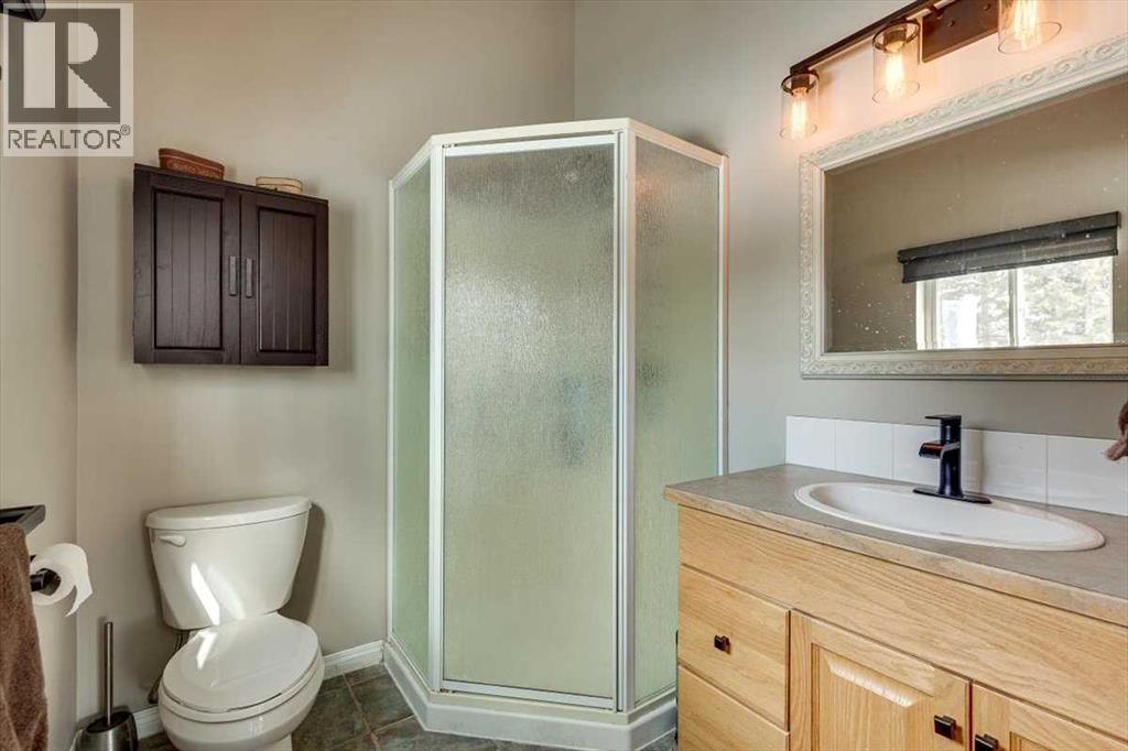 217, 36078 Range Road 245 A, Rural Red Deer County, Alberta  T0M 1S0 - Photo 22 - A2279249