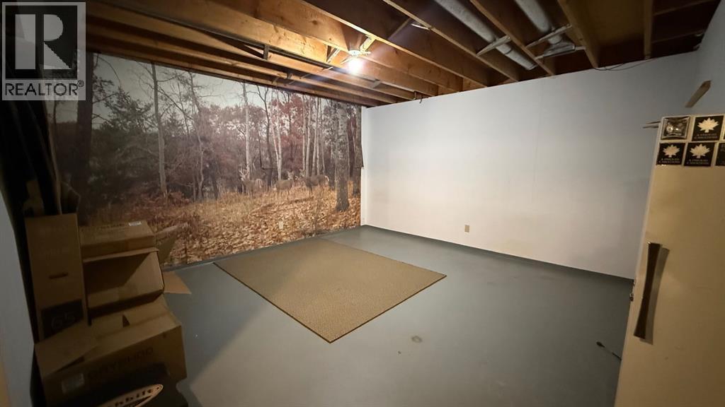 109 Winkler Drive, Hanna, Alberta  T0J 1P0 - Photo 20 - A2249162