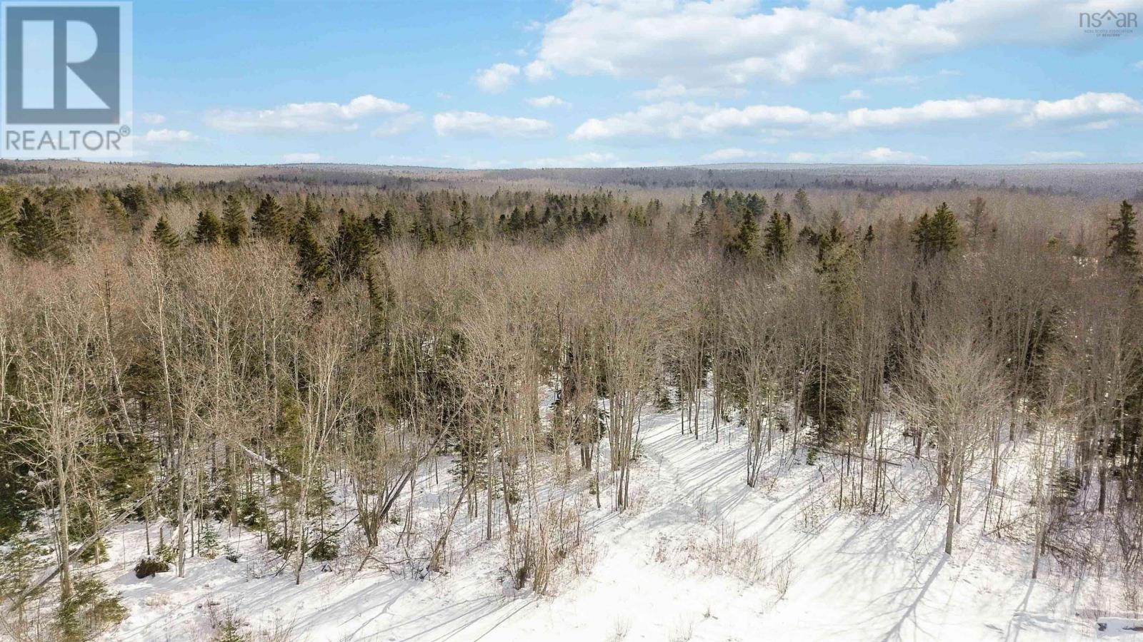 Lot Highway 215, Bramber, Nova Scotia  B0N 2A0 - Photo 14 - 202601903