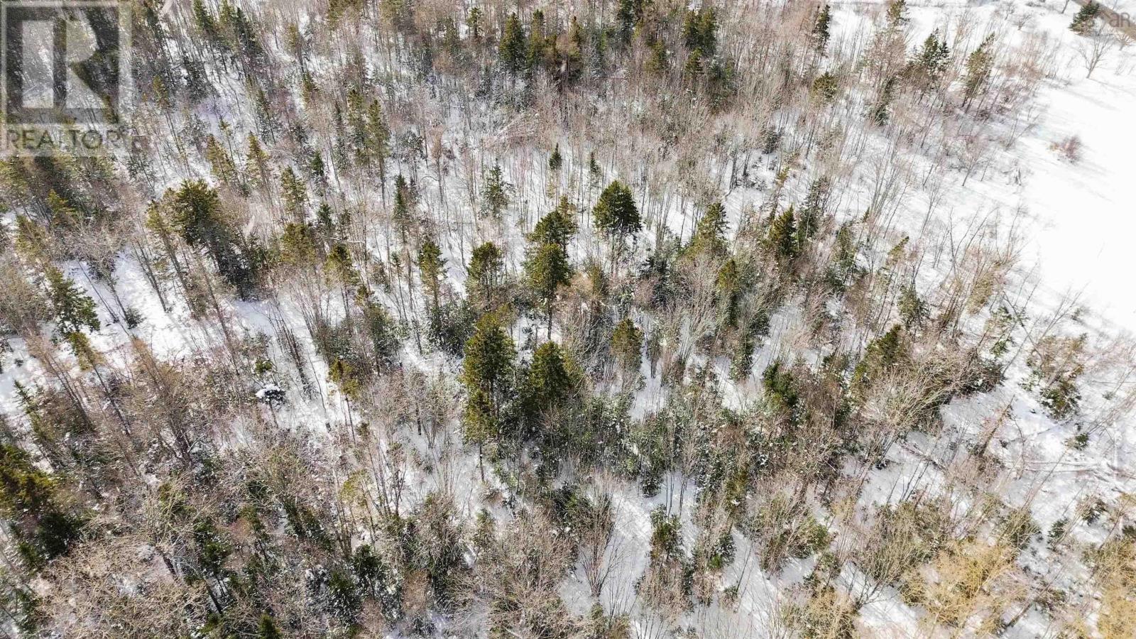 Lot Highway 215, Bramber, Nova Scotia  B0N 2A0 - Photo 9 - 202601903