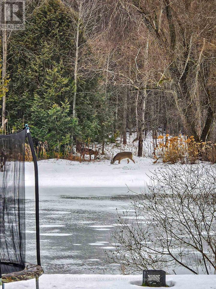 13551 Concession 5 Road, Uxbridge, Ontario  L9P 1R2 - Photo 49 - N12715402