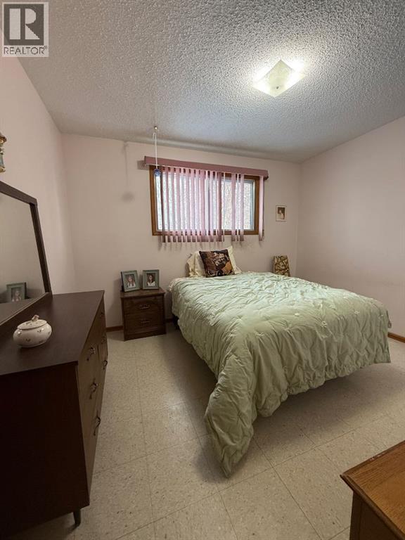 5317 47th Street, High Prairie, Alberta  T0G 1E0 - Photo 11 - A2282177