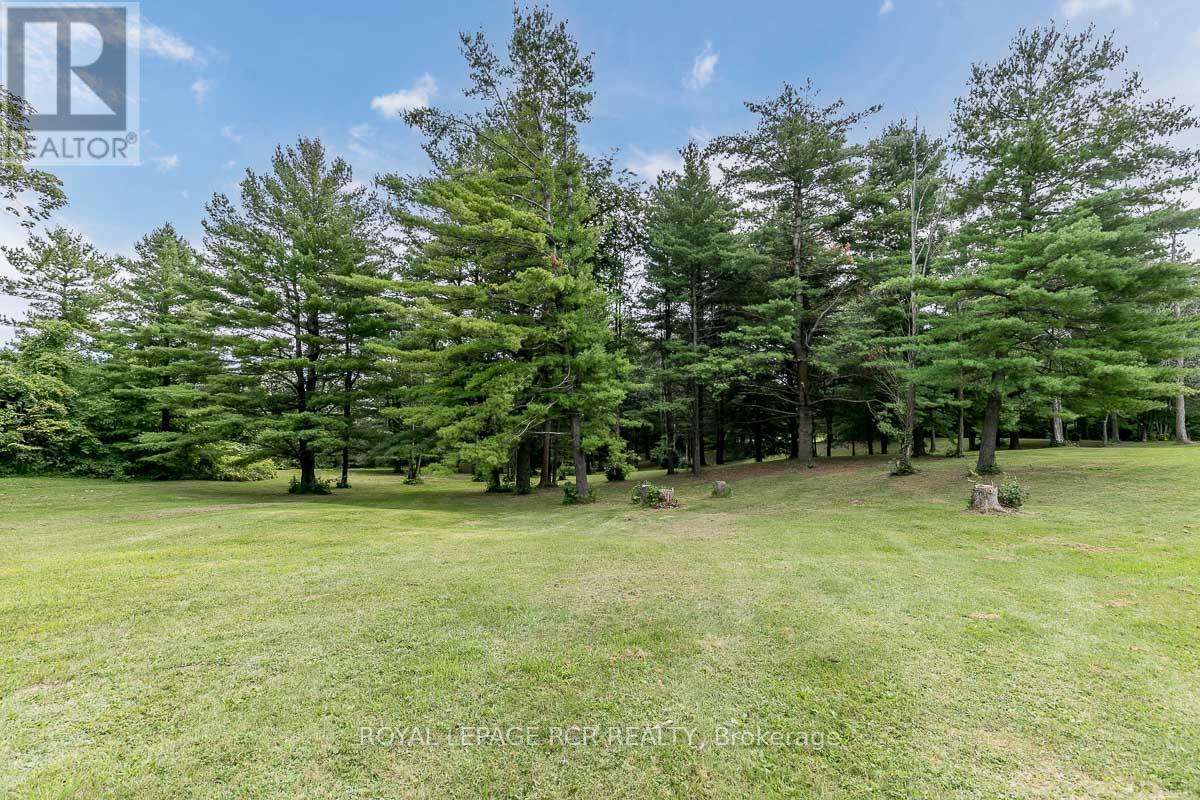 16365 Bathurst Street, Newmarket, Ontario  L3X 1Z8 - Photo 30 - N12749516