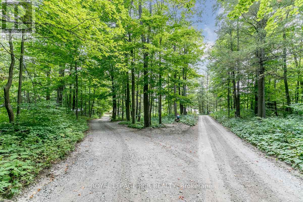 16365 Bathurst Street, Newmarket, Ontario  L3X 1Z8 - Photo 37 - N12749516