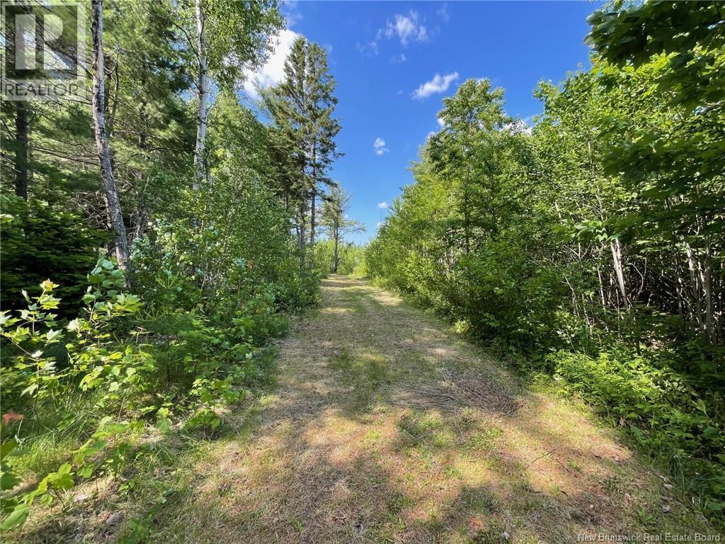 Route 11, Saint Margarets, New Brunswick  E1N 5C5 - Photo 1 - NB132973