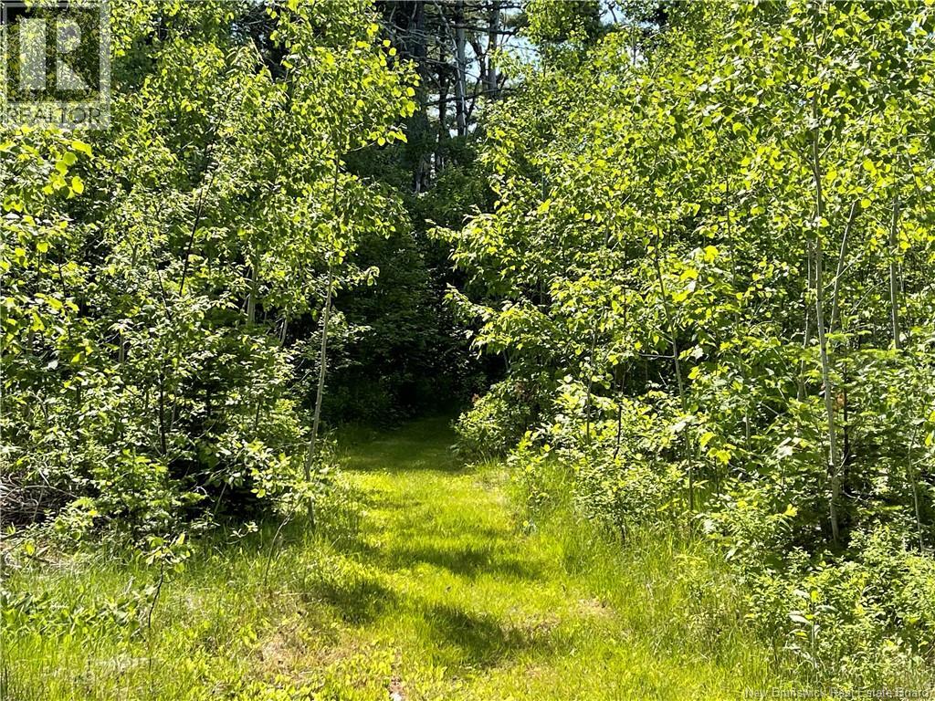 Route 11, Saint Margarets, New Brunswick  E1N 5C5 - Photo 2 - NB132973