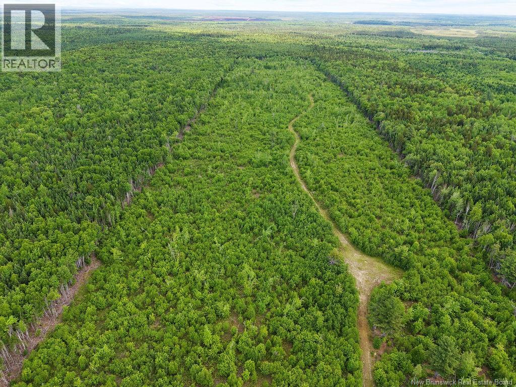 Route 11, Saint Margarets, New Brunswick  E1N 5C5 - Photo 5 - NB132973