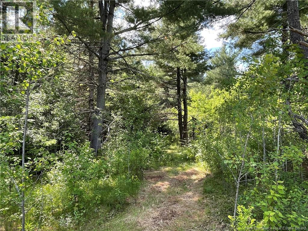 Route 11, Saint Margarets, New Brunswick  E1N 5C5 - Photo 6 - NB132973