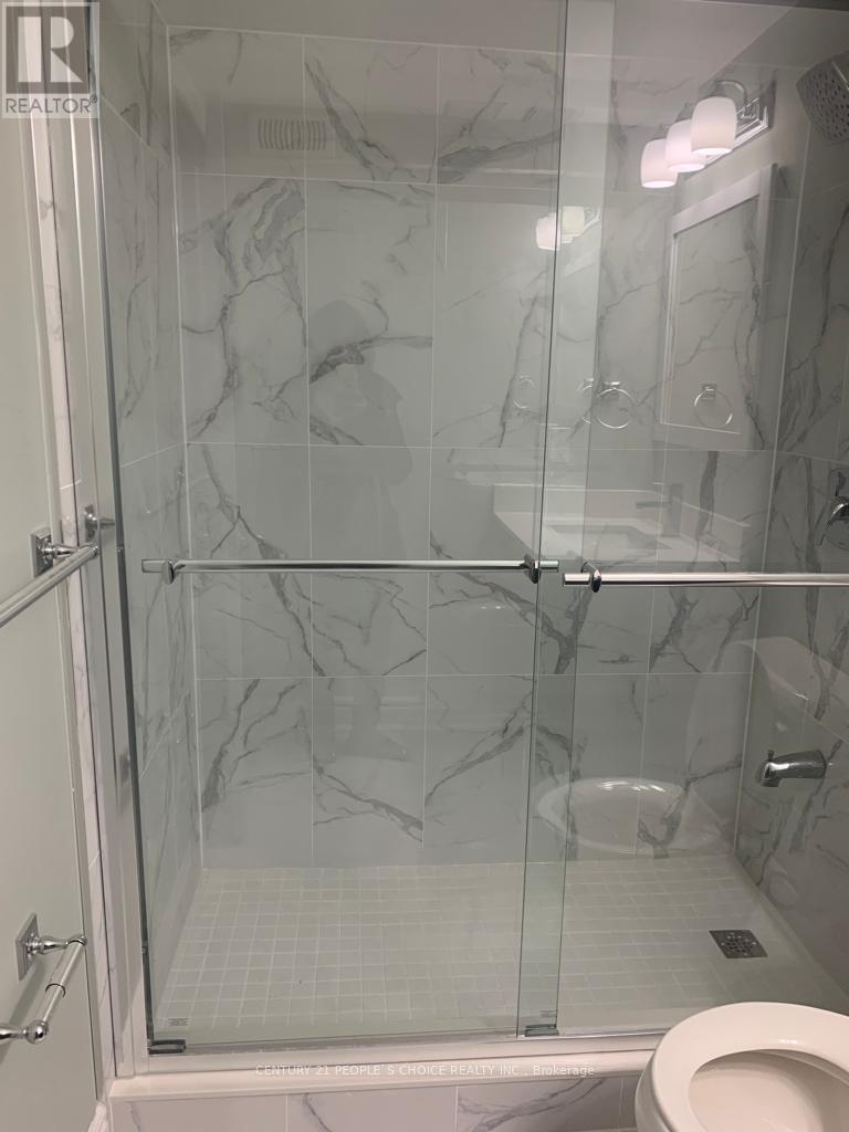 Bsmt - 5 Nomad Crescent, Brampton, Ontario  L6Y 5N4 - Photo 14 - W12749354