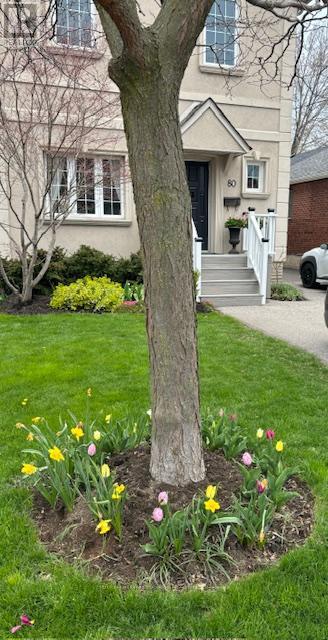 80 Elma Street, Toronto, Ontario  M8V 1X8 - Photo 41 - W12749390
