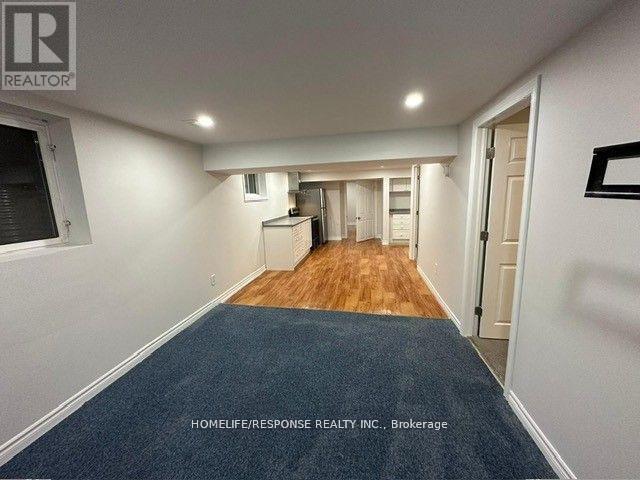 Bsmt - 7 Belleau Street, Hamilton, Ontario  L8J 1N1 - Photo 13 - X12749372