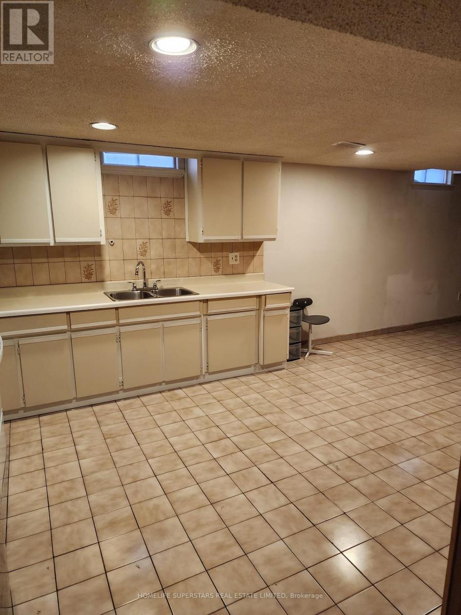 Basement - 236 Tall Grass Trail, Vaughan, Ontario  L4L 3K6 - Photo 3 - N12749630