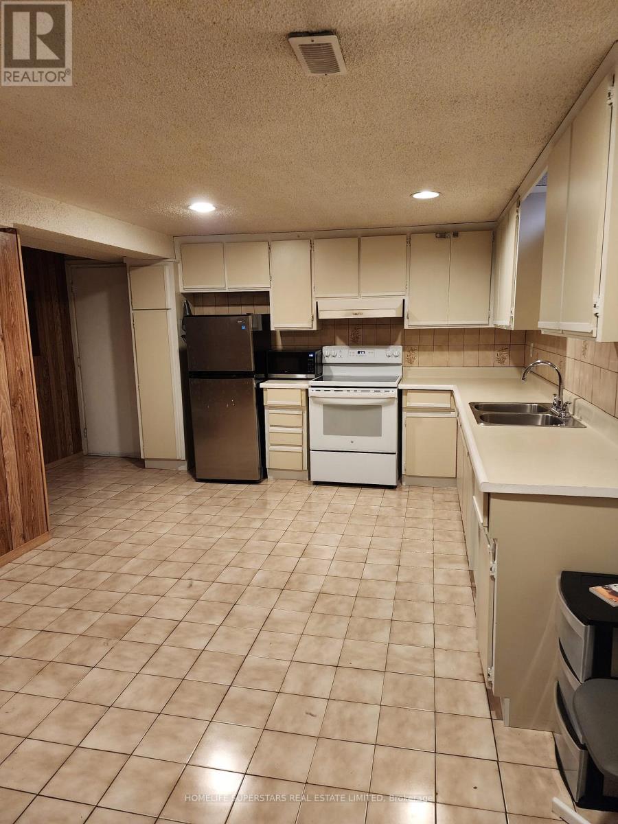 Basement - 236 Tall Grass Trail, Vaughan, Ontario  L4L 3K6 - Photo 4 - N12749630