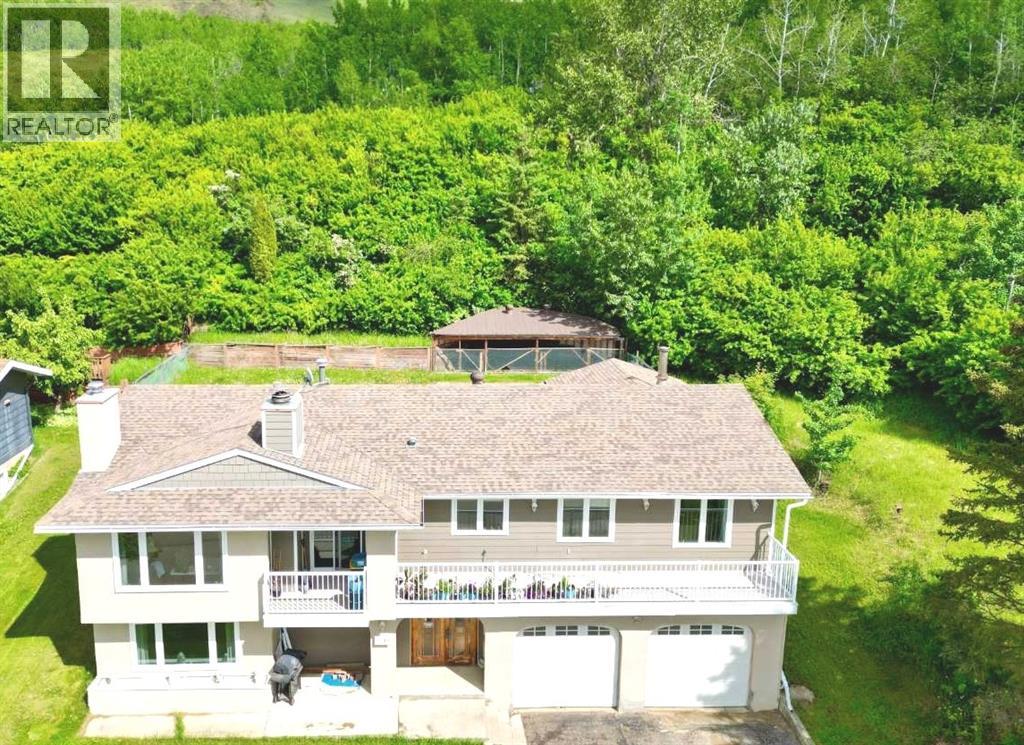 11719 103 Street, Peace River, Alberta  T8S 1M1 - Photo 4 - A2196377