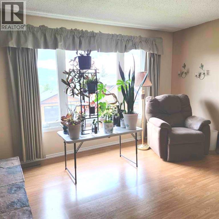 11719 103 Street, Peace River, Alberta  T8S 1M1 - Photo 15 - A2196377