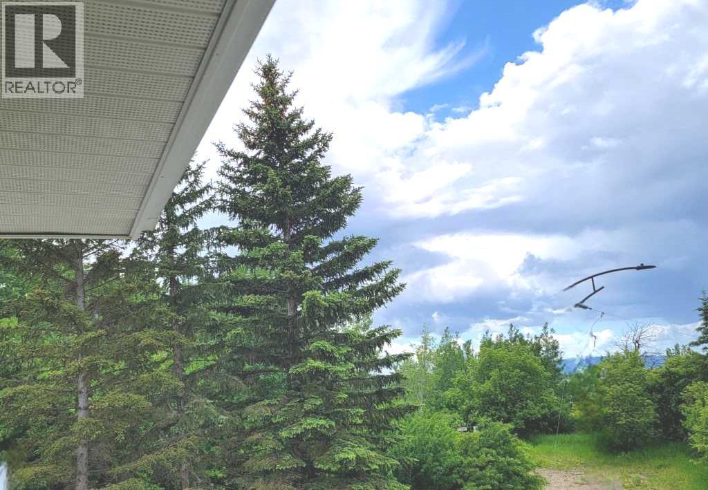 11719 103 Street, Peace River, Alberta  T8S 1M1 - Photo 19 - A2196377