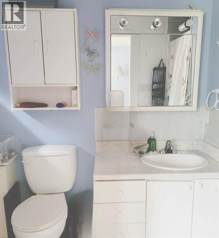 11719 103 Street, Peace River, Alberta  T8S 1M1 - Photo 22 - A2196377