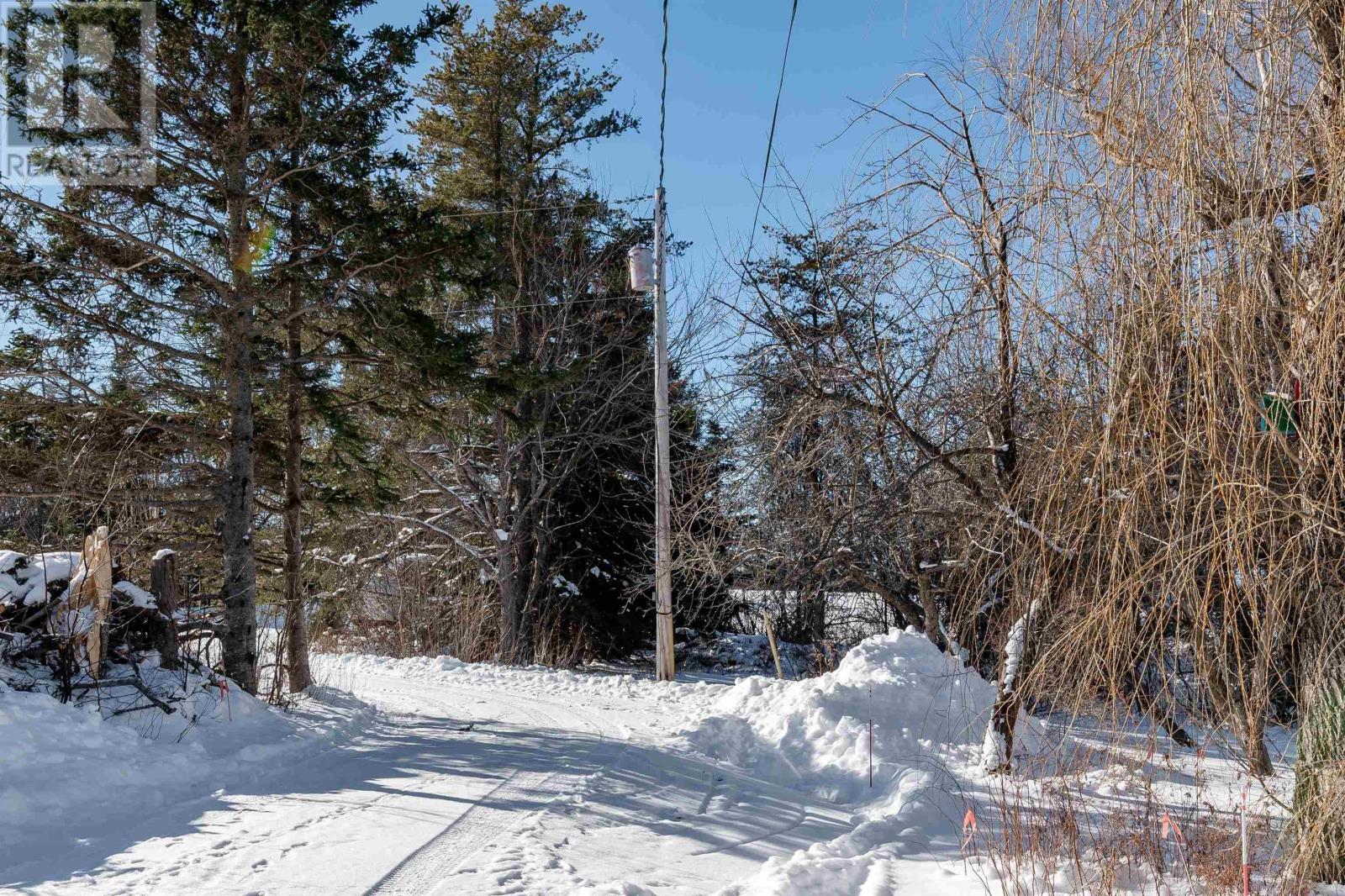 1407 North Shore Road, North Shore, Nova Scotia  B0K 1E0 - Photo 2 - 202601908