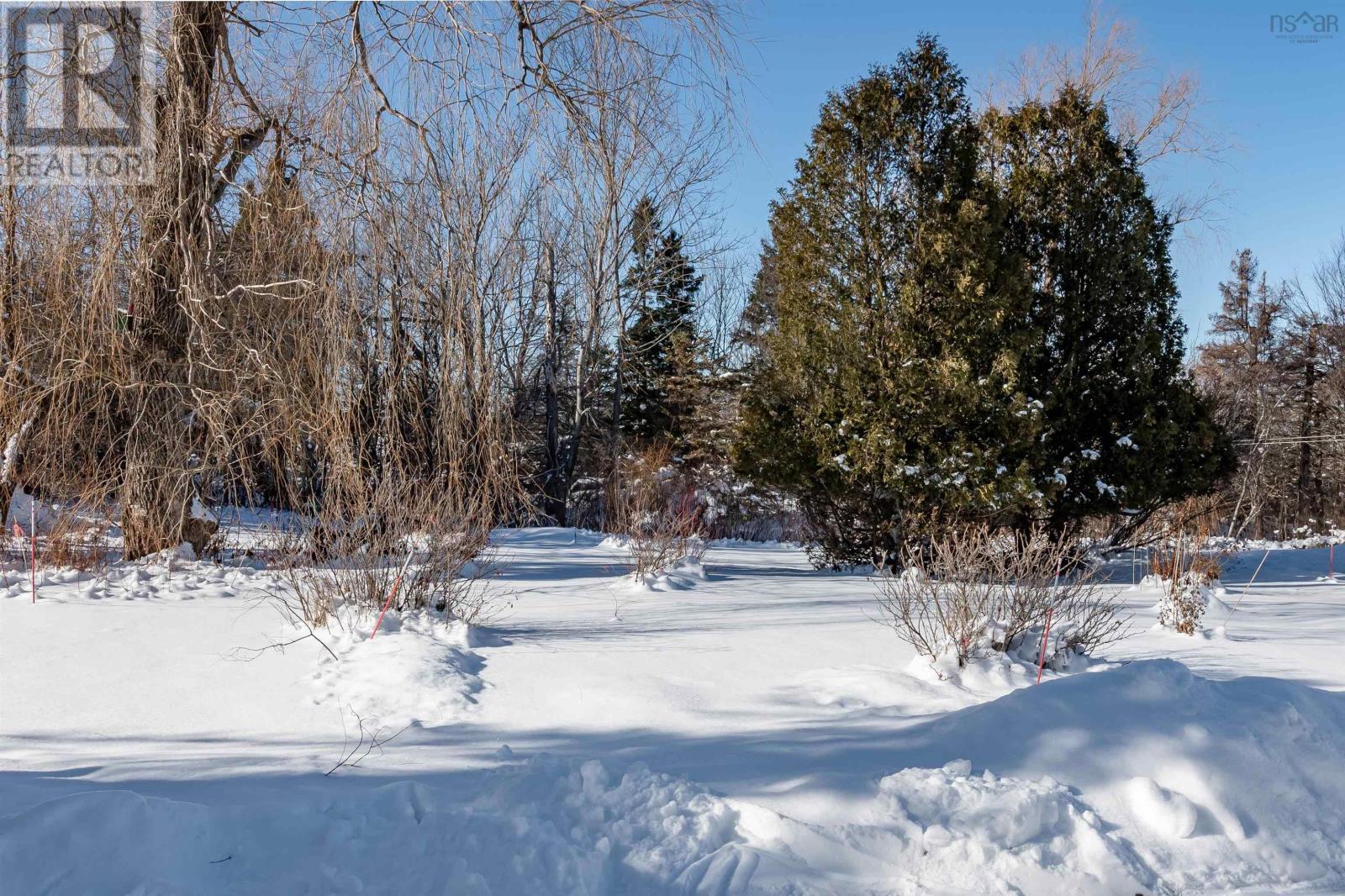 1407 North Shore Road, North Shore, Nova Scotia  B0K 1E0 - Photo 3 - 202601908
