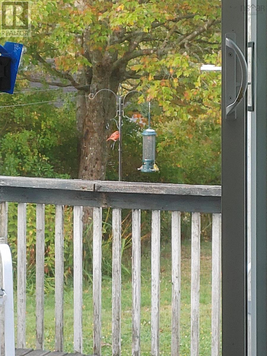 740 Willow Street, Hilden, Nova Scotia  B2N 5H2 - Photo 14 - 202601914