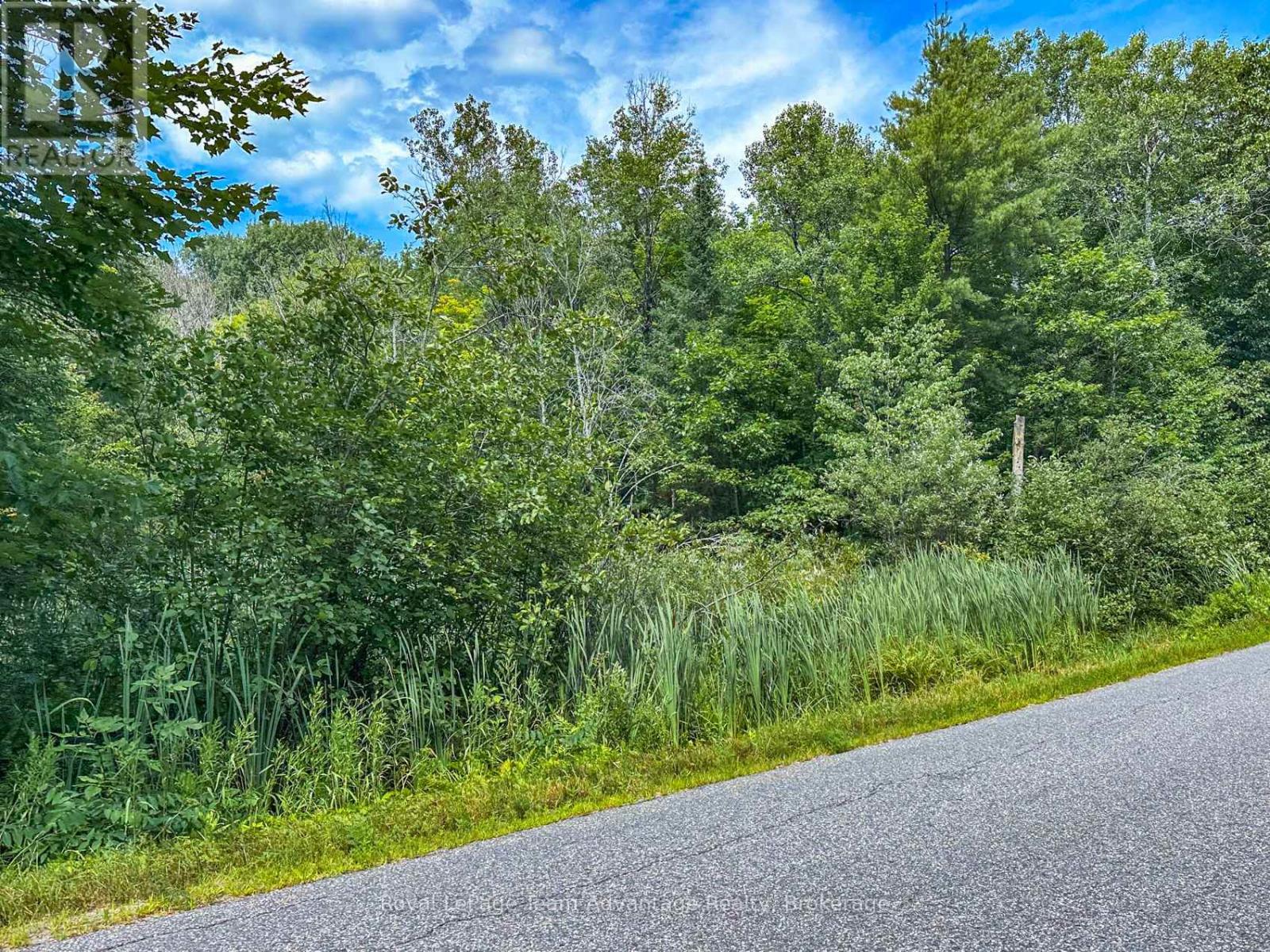 (Part 1) 25 Long Lake Estates Road, Mcdougall, Ontario  P2A 2W7 - Photo 19 - X12749718