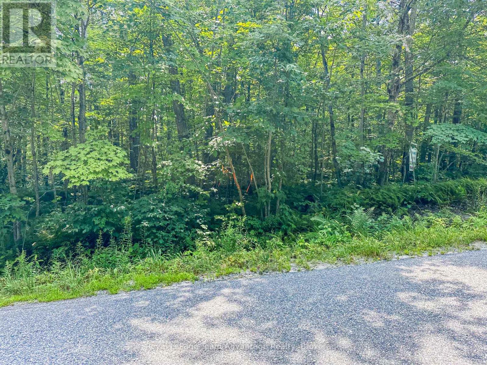 (Part 1) 25 Long Lake Estates Road, Mcdougall, Ontario  P2A 2W7 - Photo 8 - X12749718