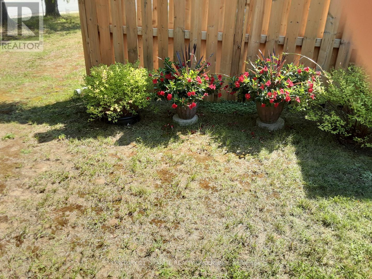 8 Johnston Crescent, Bancroft, Ontario  K0L 1C0 - Photo 43 - X12749806