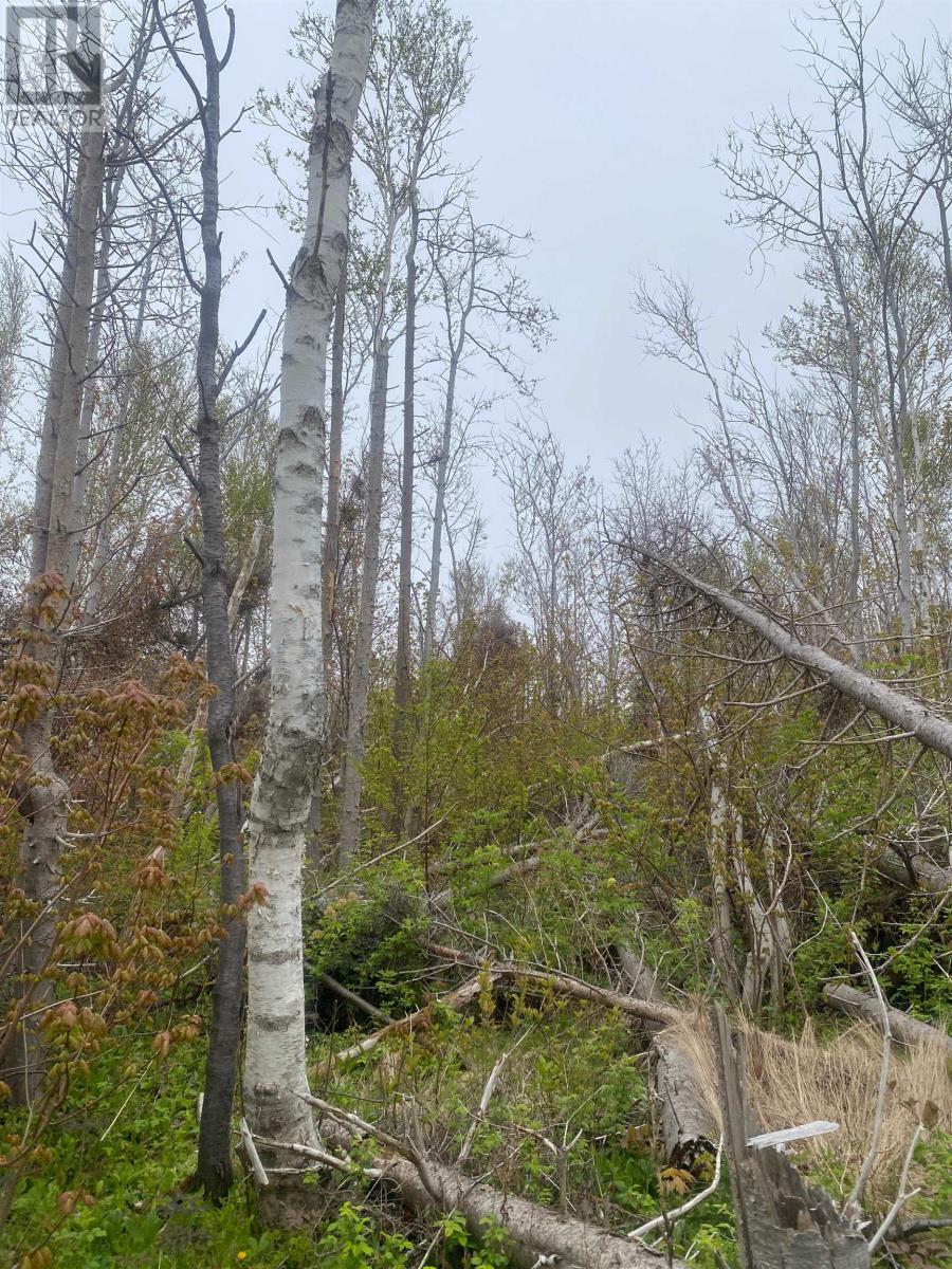 Lot Cape Road, North Rustico, Prince Edward Island  C0A 1X0 - Photo 9 - 202601893