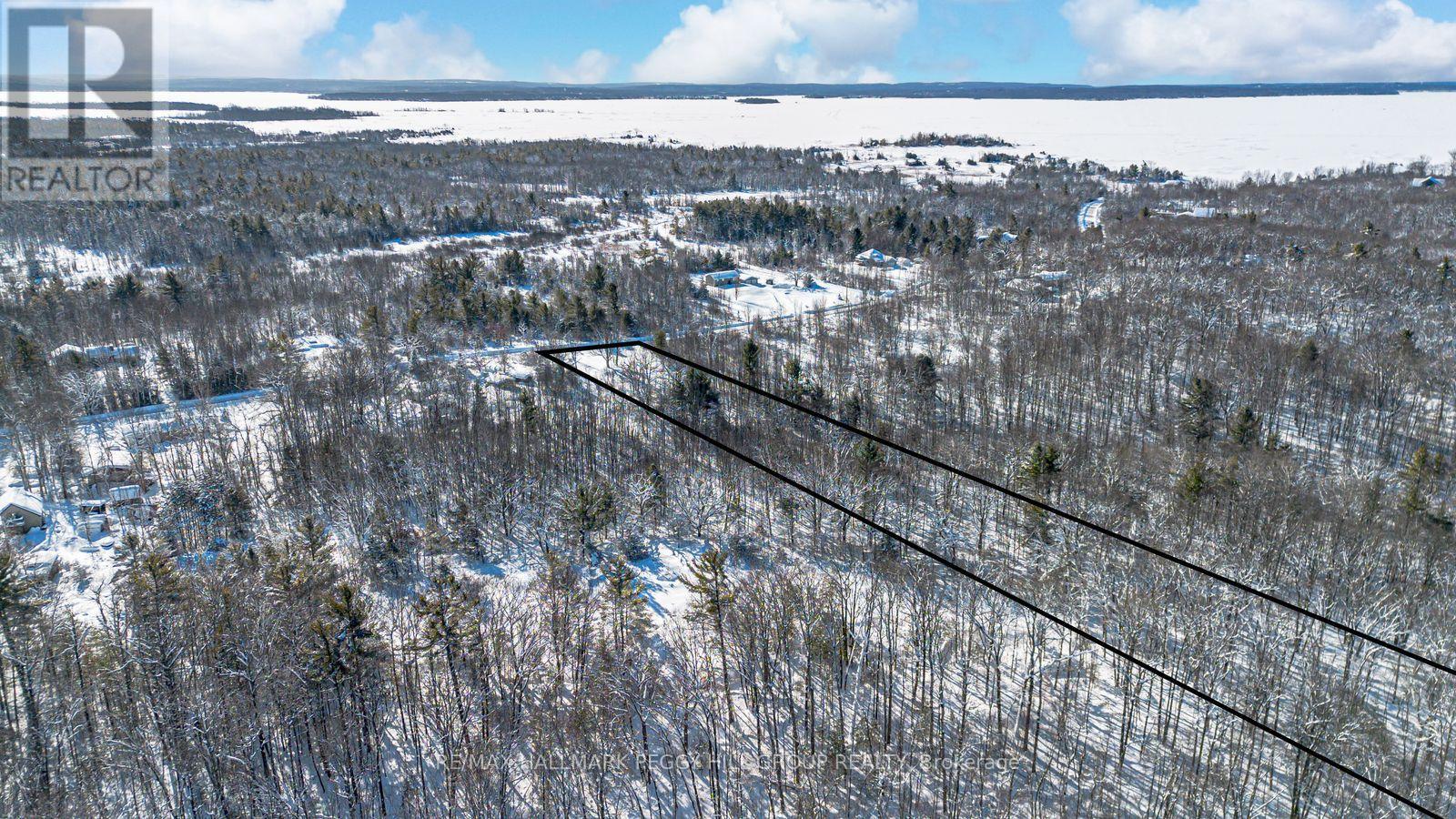 88 Musky Bay Road, Georgian Bay, Ontario  L0K 1S0 - Photo 4 - X12749842