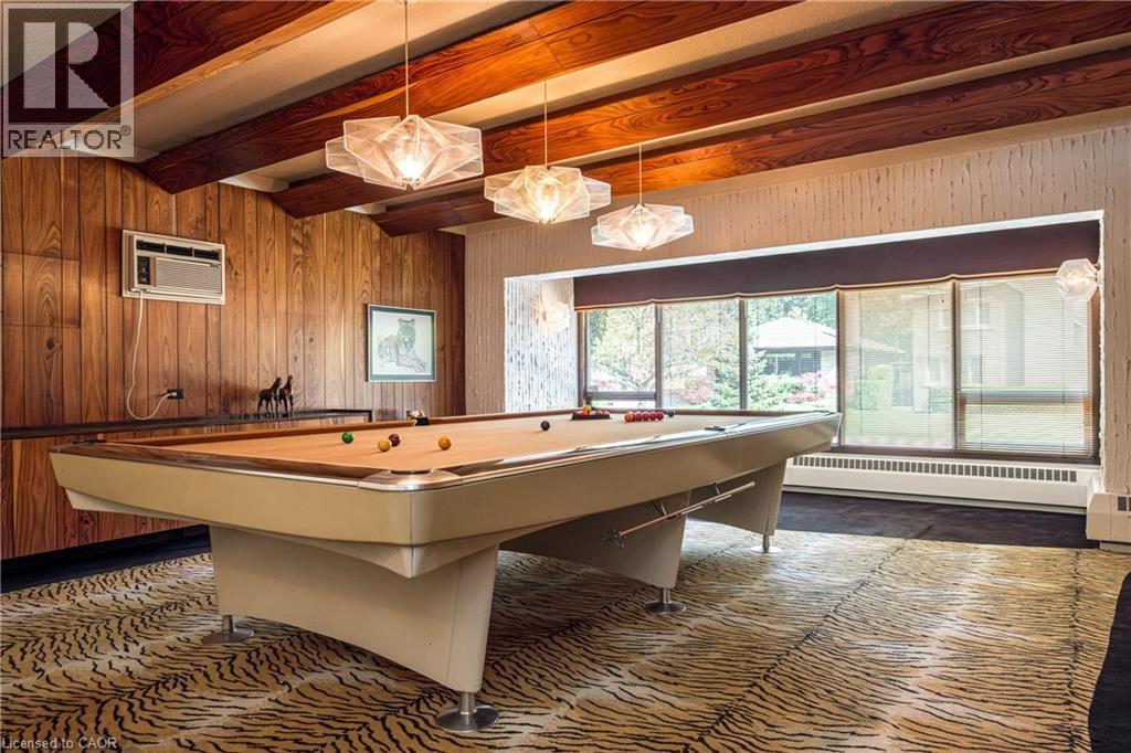 6 Freeland Court, Hamilton, Ontario  L8S 3R5 - Photo 26 - 40802267