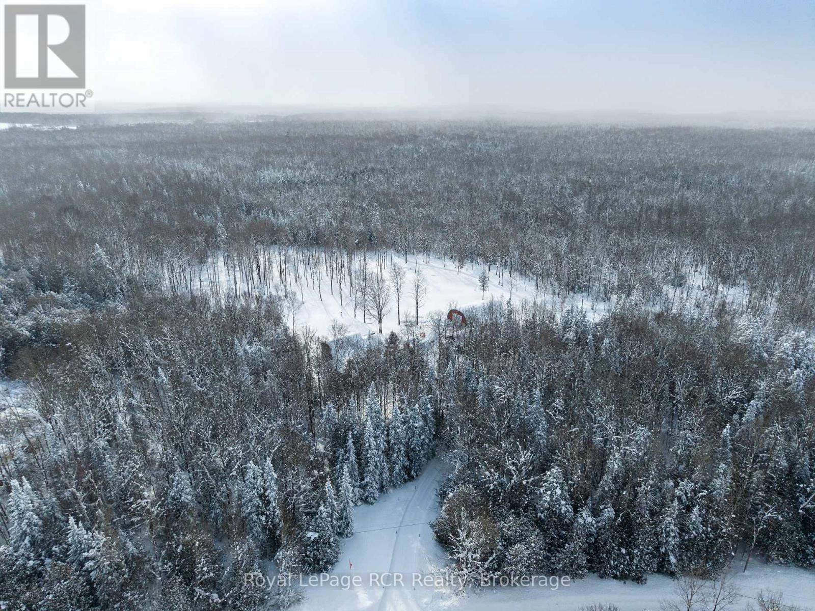 382390 Concession 17 Road, Georgian Bluffs, Ontario  N0H 2T0 - Photo 38 - X12749988