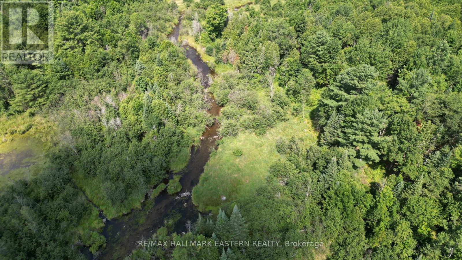 N/a Keating Road N, Havelock-Belmont-Methuen (Belmont-Methuen), Ontario  K0L 1Z0 - Photo 25 - X12750004