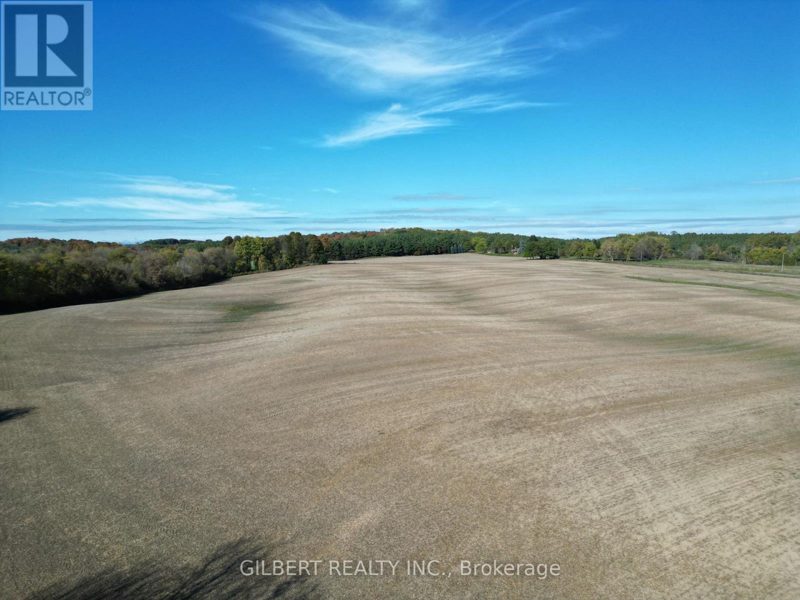 4176 Adjal-Tecum Tline Townline, Adjala-Tosorontio, Ontario  L9R 1V4 - Photo 5 - N12462266