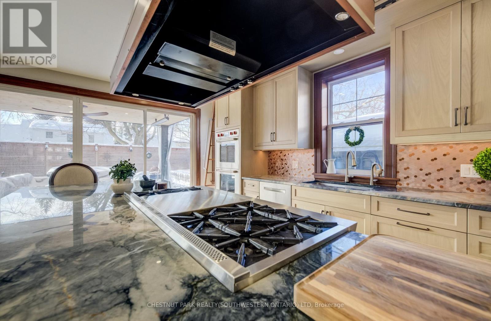 107 Earl Street, Kitchener, Ontario  N2M 2V8 - Photo 15 - X12750034