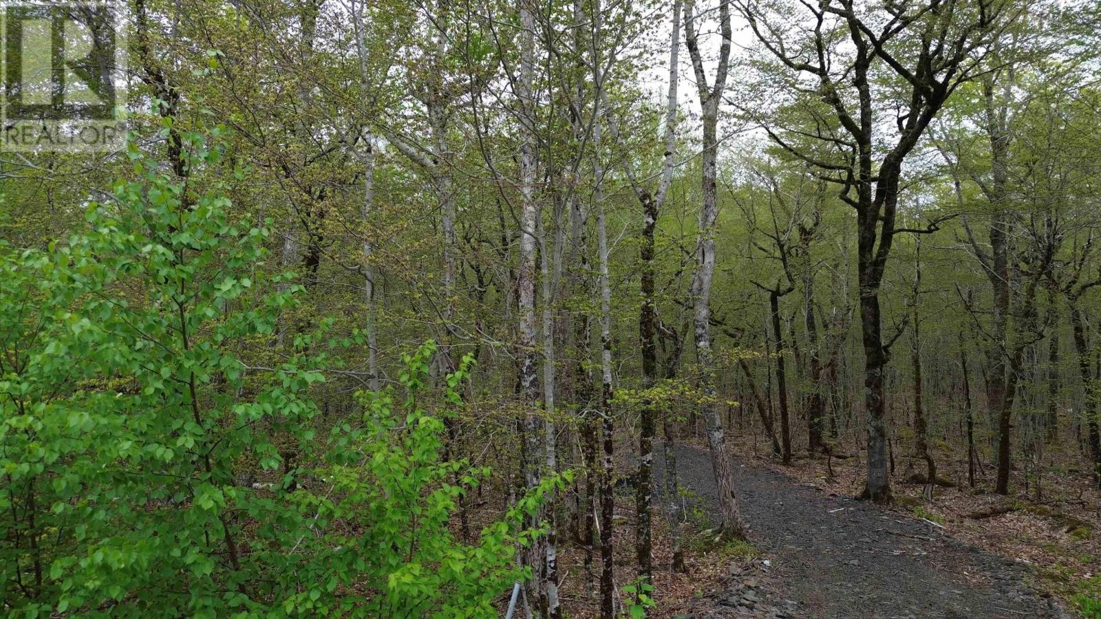 Lot 46 Turner Point Road, Walden, Nova Scotia  B0J 2E0 - Photo 4 - 202511451