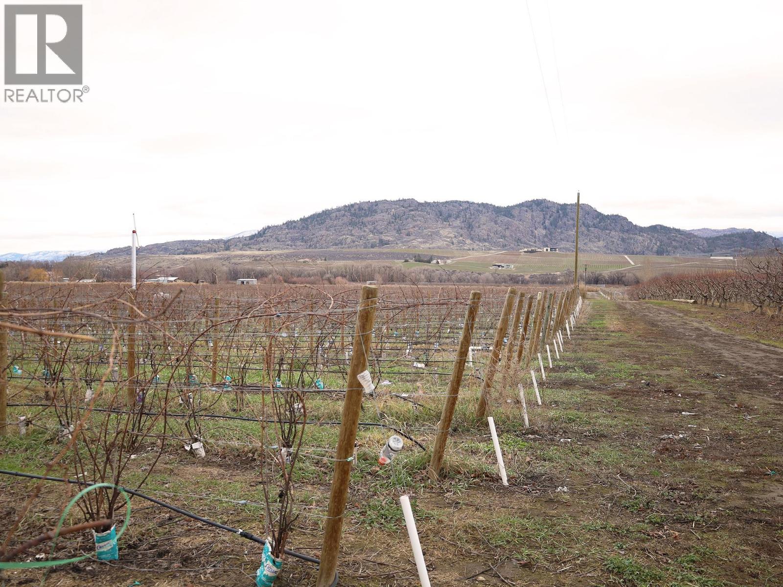 4253 Highway 97 Highway, Oliver, British Columbia  V0H 1T1 - Photo 28 - 10372304