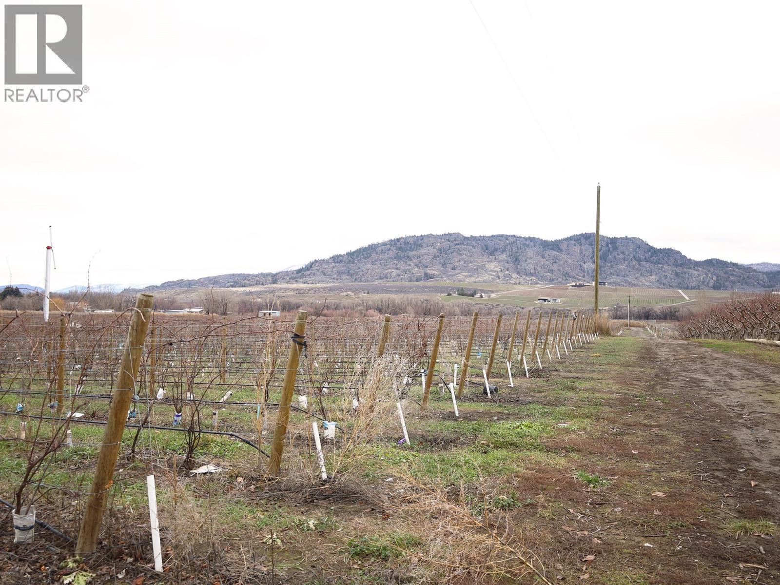 4253 Highway 97 Highway, Oliver, British Columbia  V0H 1T1 - Photo 31 - 10372304