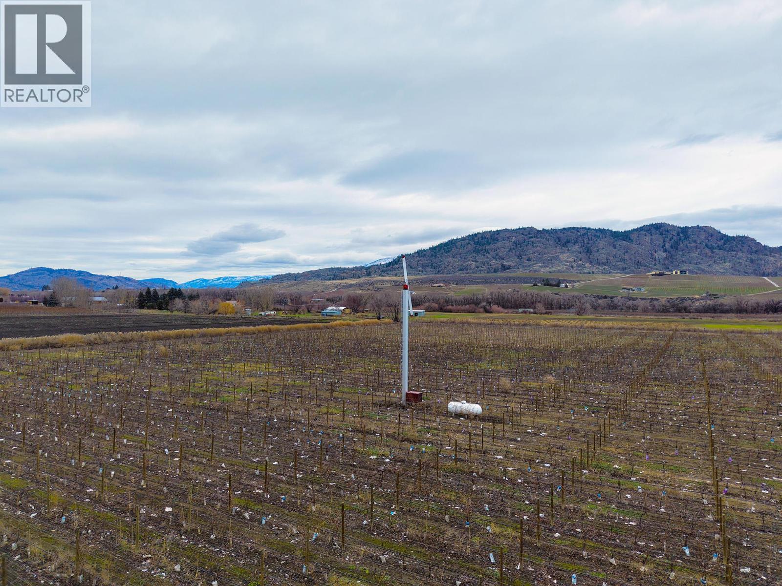 4253 Highway 97 Highway, Oliver, British Columbia  V0H 1T1 - Photo 8 - 10372304