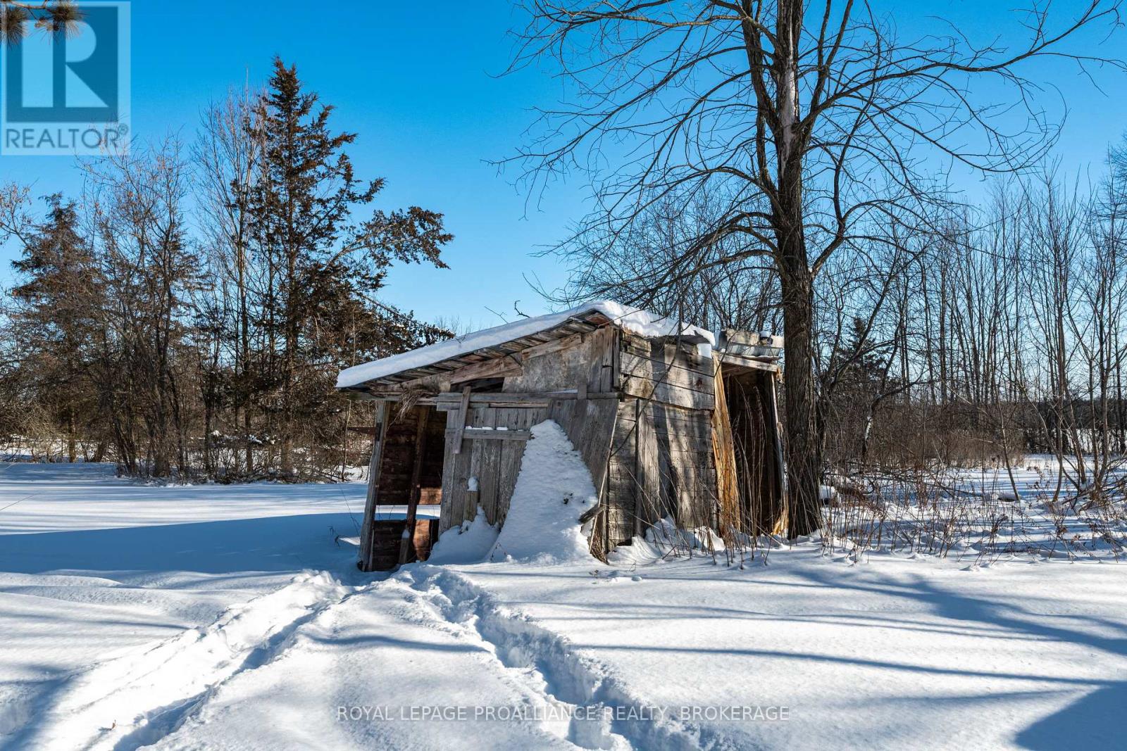 154 Clara Street, Greater Napanee, Ontario  K0K 2W0 - Photo 28 - X12750184