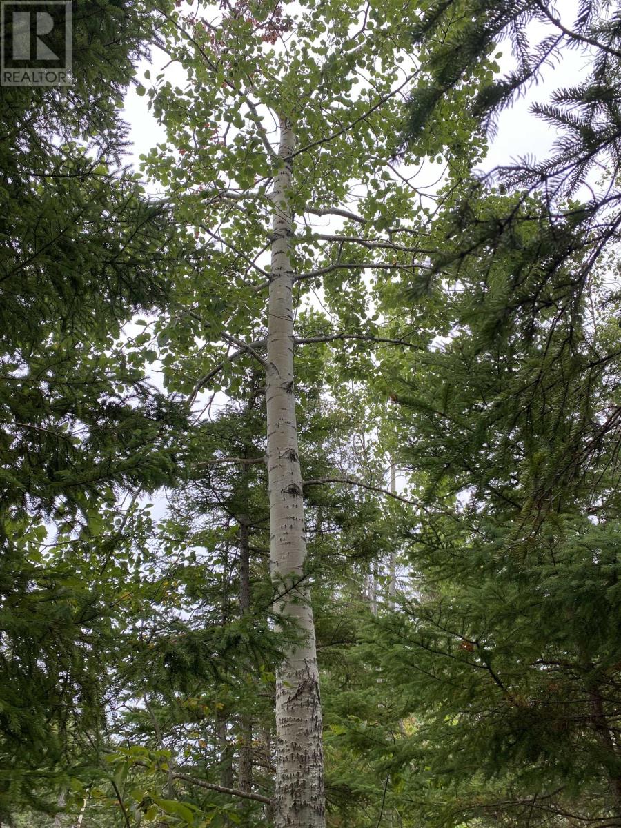 Lot 6 Floating Bridge Road, Murray River, Prince Edward Island  C0A 1W0 - Photo 8 - 202601637