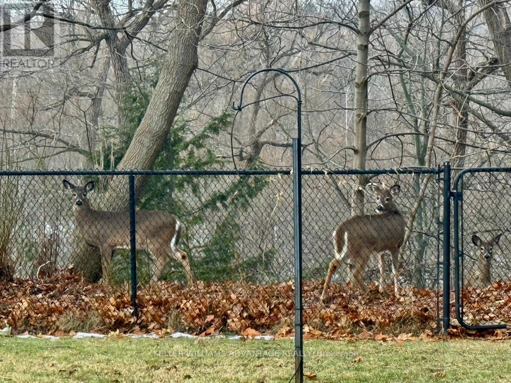 42 Holmcrest Trail, Toronto, Ontario  M1C 1V5 - Photo 48 - E12750112