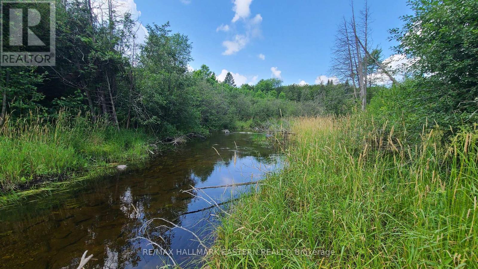 N/a Keating Road N, Havelock-Belmont-Methuen (Belmont-Methuen), Ontario  K0L 1Z0 - Photo 18 - X12750004