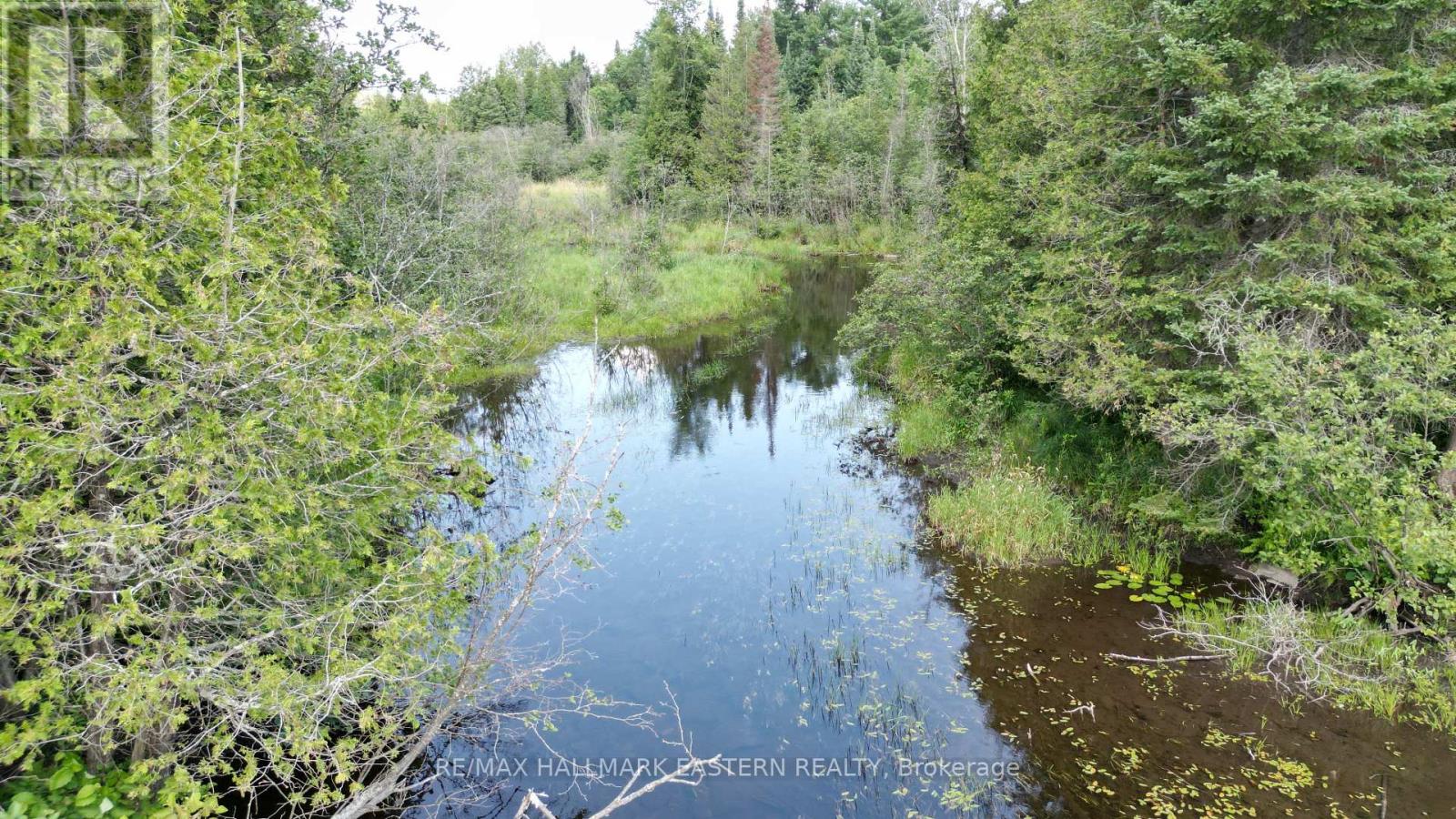 N/a Keating Road N, Havelock-Belmont-Methuen (Belmont-Methuen), Ontario  K0L 1Z0 - Photo 21 - X12750004