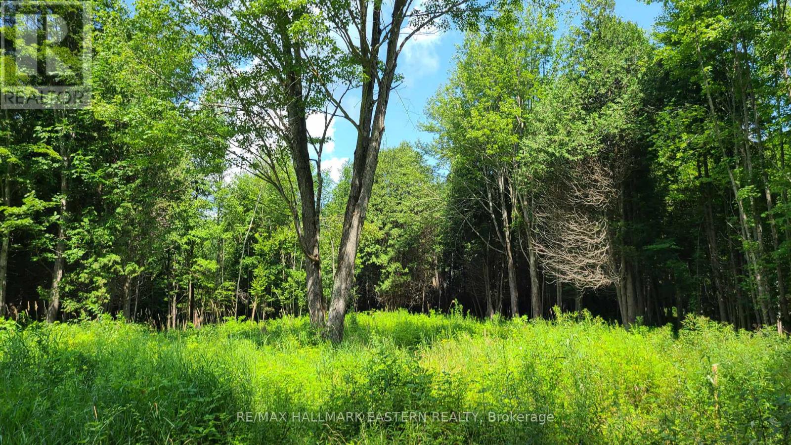 N/a Keating Road N, Havelock-Belmont-Methuen (Belmont-Methuen), Ontario  K0L 1Z0 - Photo 12 - X12750004