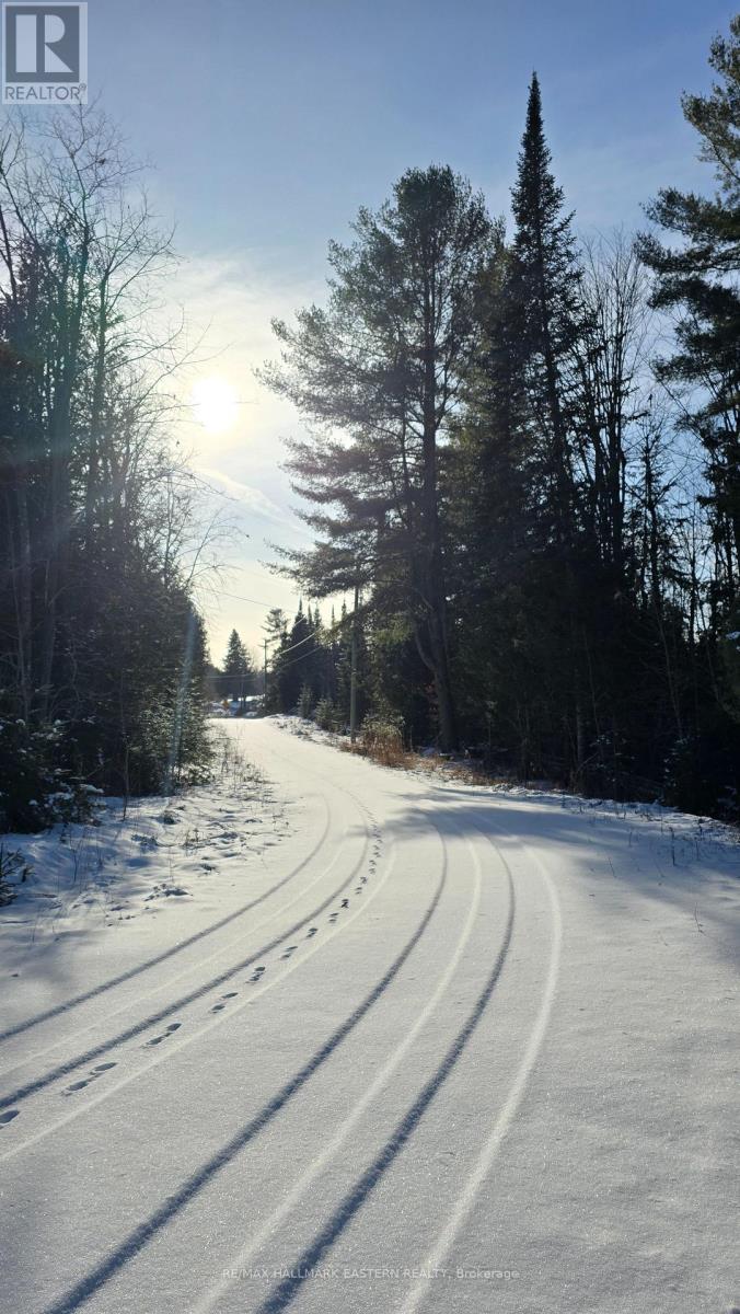 N/a Keating Road N, Havelock-Belmont-Methuen (Belmont-Methuen), Ontario  K0L 1Z0 - Photo 8 - X12750004