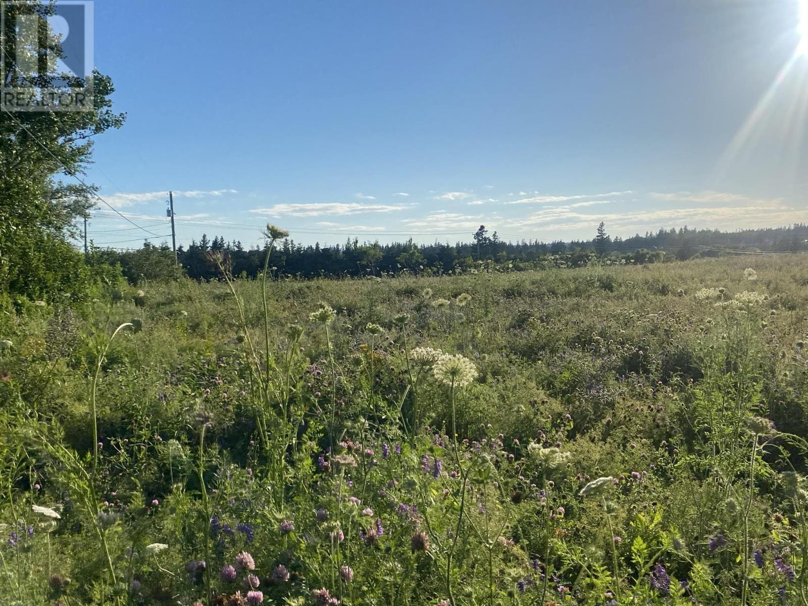 15 Rose Lane, Stanley Bridge, Prince Edward Island  C0A 1E0 - Photo 12 - 202601480