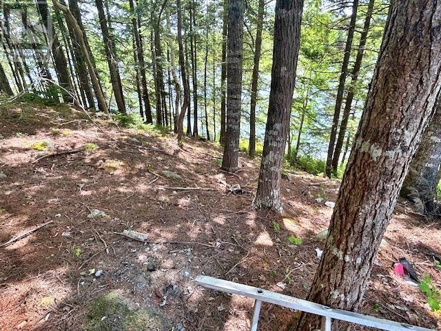 1235 Woodstock Road, Clearland, Nova Scotia  B0J 2E0 - Photo 22 - 202521413