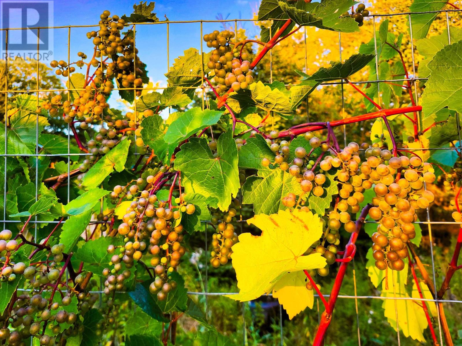 7056 Highway 329, East River Point, Nova Scotia  B0J 1T0 - Photo 17 - 202529626