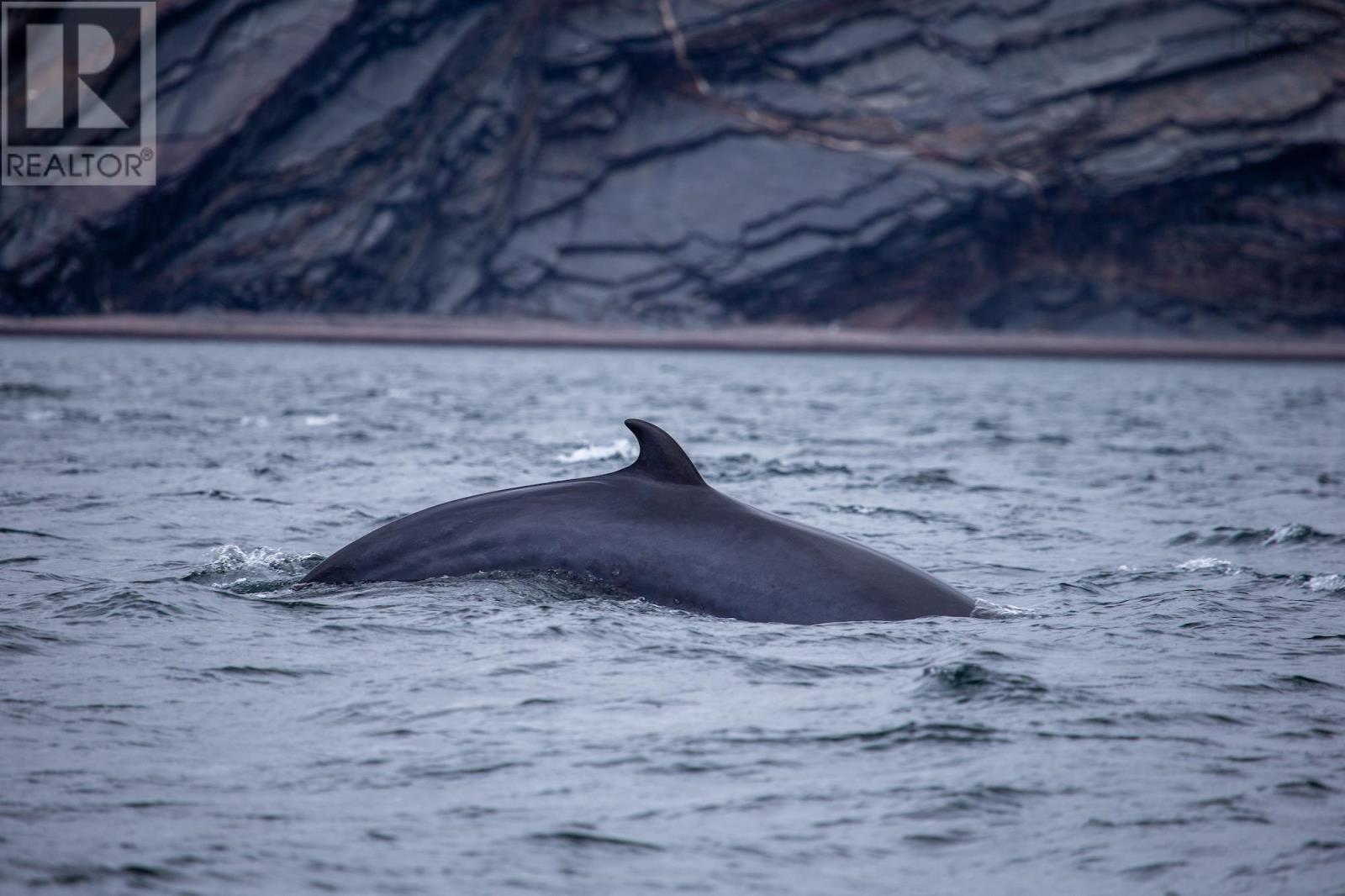31 Osprey Lane, South Ingonish Harbour, Nova Scotia  B0C 3B3 - Photo 29 - 202601938
